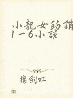 小龙女的销魂夜1一6小说