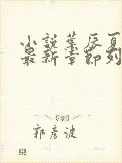 小说叶辰夏若雪最新章节列表最封面