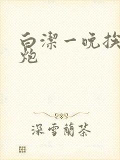 白洁一晚挨十二炮