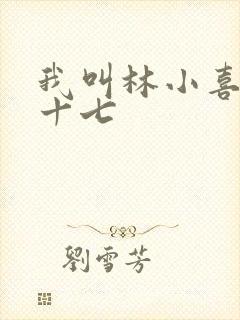 我叫林小喜今年十七封面