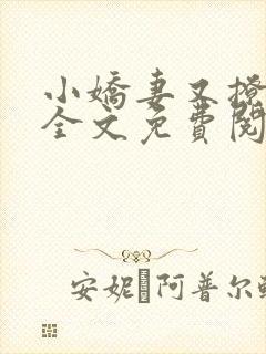 小娇妻又撩又甜全文免费阅读