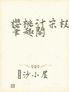 樱桃汁宋枝江野笔趣阁