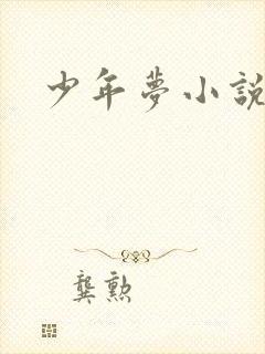 少年梦小说