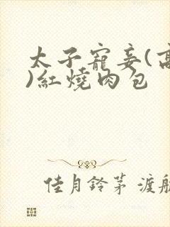 太子宠妾(高肉)红烧肉包