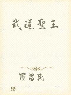 武道圣王封面