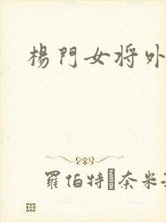 杨门女将外传