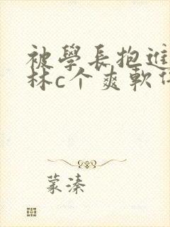 被学长抱进小树林c个爽软件