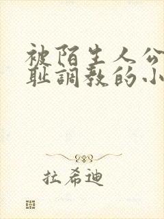 被陌生人公开羞耻调教的小说