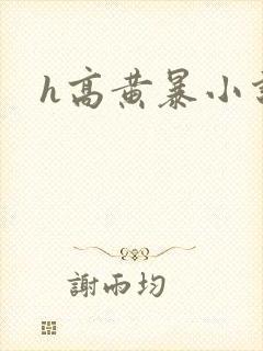 h高黄暴小说