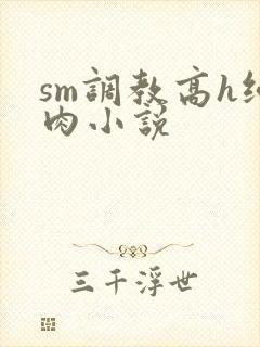 sm调教高h纯肉小说