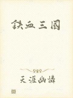 铁血三国封面