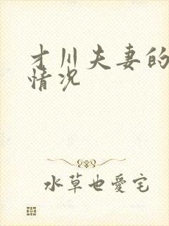 才川夫妻的恋爱情况