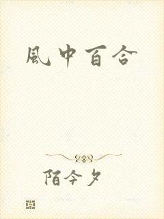 风中百合封面