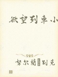 欲望列车小说封面