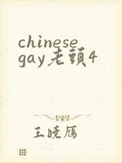 chinesegay老头4封面