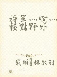 将军灬啊灬啊灬轻点野外封面