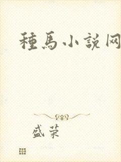 种马小说网