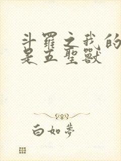 斗罗之我的武魂是五圣兽