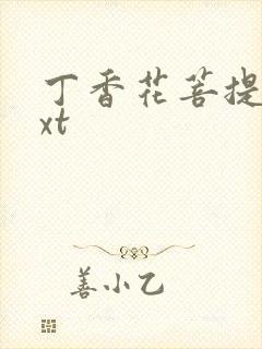 丁香花菩提树txt