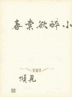 春棠欲醉小说封面