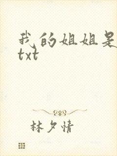 我的姐姐是美女txt