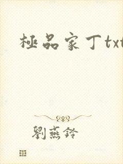 极品家丁txt