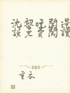 沈黎晚闻璟川小说免费阅读最新章节