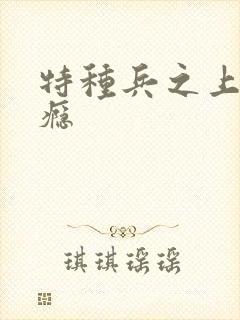 特种兵之上你成瘾封面