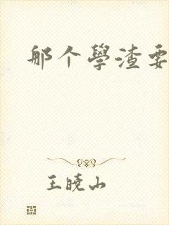 那个学渣要上天封面