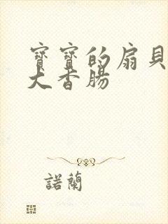 宝宝的扇贝想吃大香肠封面