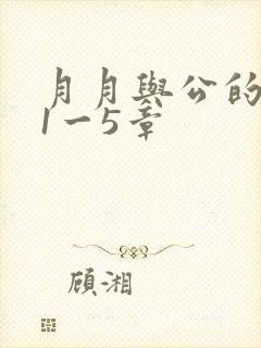 月月与公的激情1一5章封面