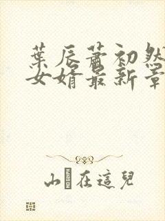 叶辰萧初然上门女婿最新章节