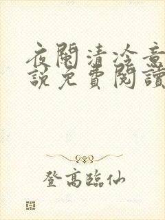 夜阑清冷意欢小说免费阅读