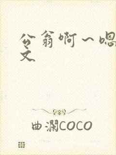 公翁啊～嗯啊h文