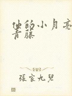 他的小月亮by青藤封面