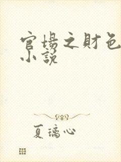 官场之财色诱人小说