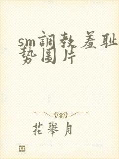 sm调教羞耻姿势图片