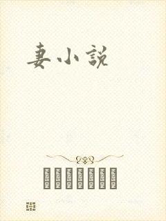 妻小说
