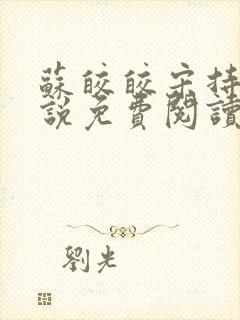 苏皎皎宋持的小说免费阅读封面