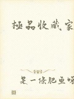 极品收藏家封面