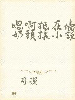 嗯啊抵在墙上h奶头揉小说