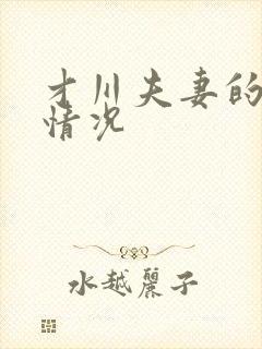 才川夫妻的恋爱情况