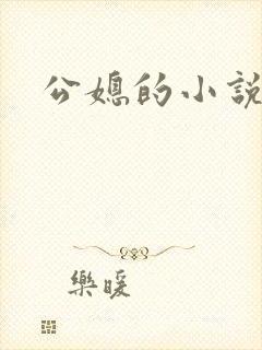公媳的小说封面