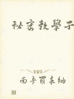 秘密教学子豪