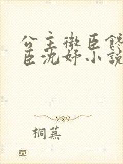 公主微臣馋了微臣沈妤小说封面