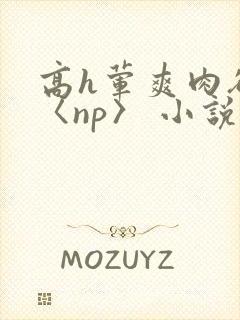 高h荤爽肉欲文〈np〉 小说