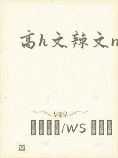 高h文辣文np