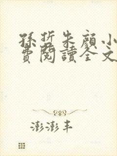 孙哲朱颜小说免费阅读全文最新章节