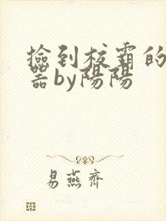 捡到校霸的遥控器by阳阳封面