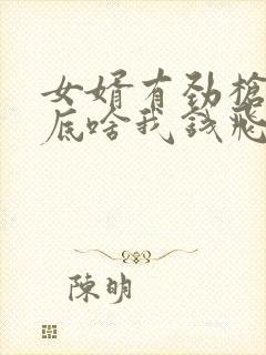 女婿有劲枪枪到底啥我钱飞了封面